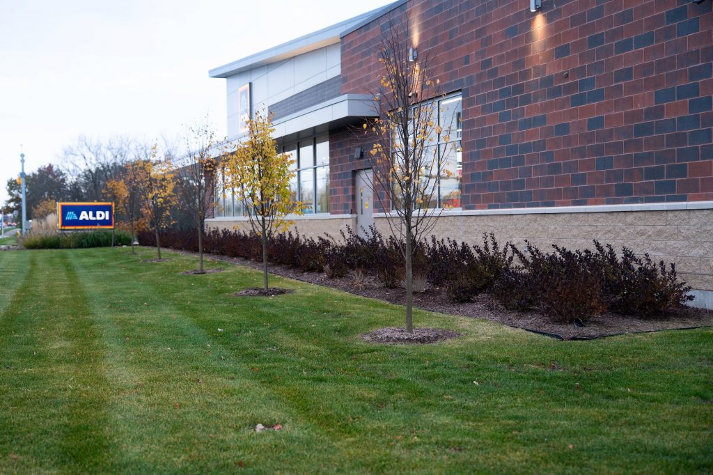 Commercial Landscaping at Aldis