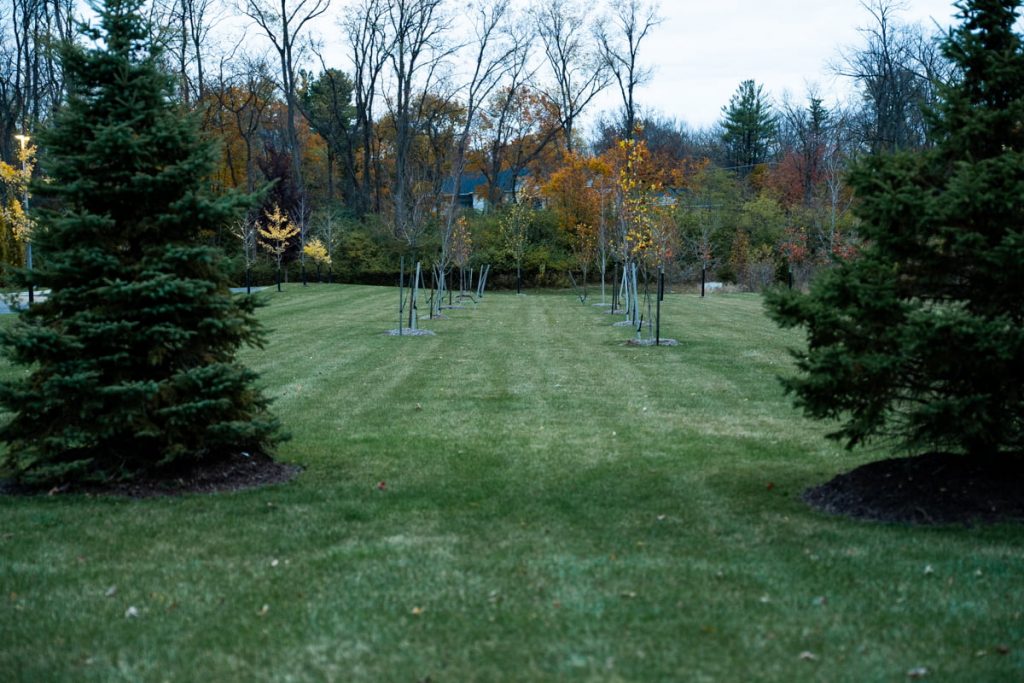 Cooper Standard landscaping