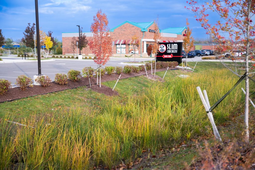 Slim Chickens Ann Arbor commercial landscaping